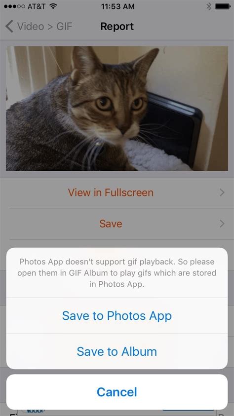 make a gif out of a video.